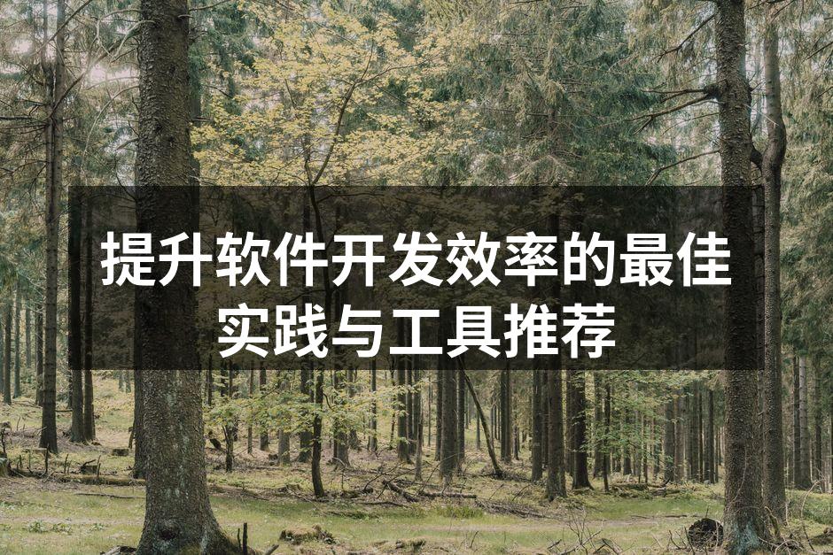 提升软件开发效率的最佳实践与工具推荐